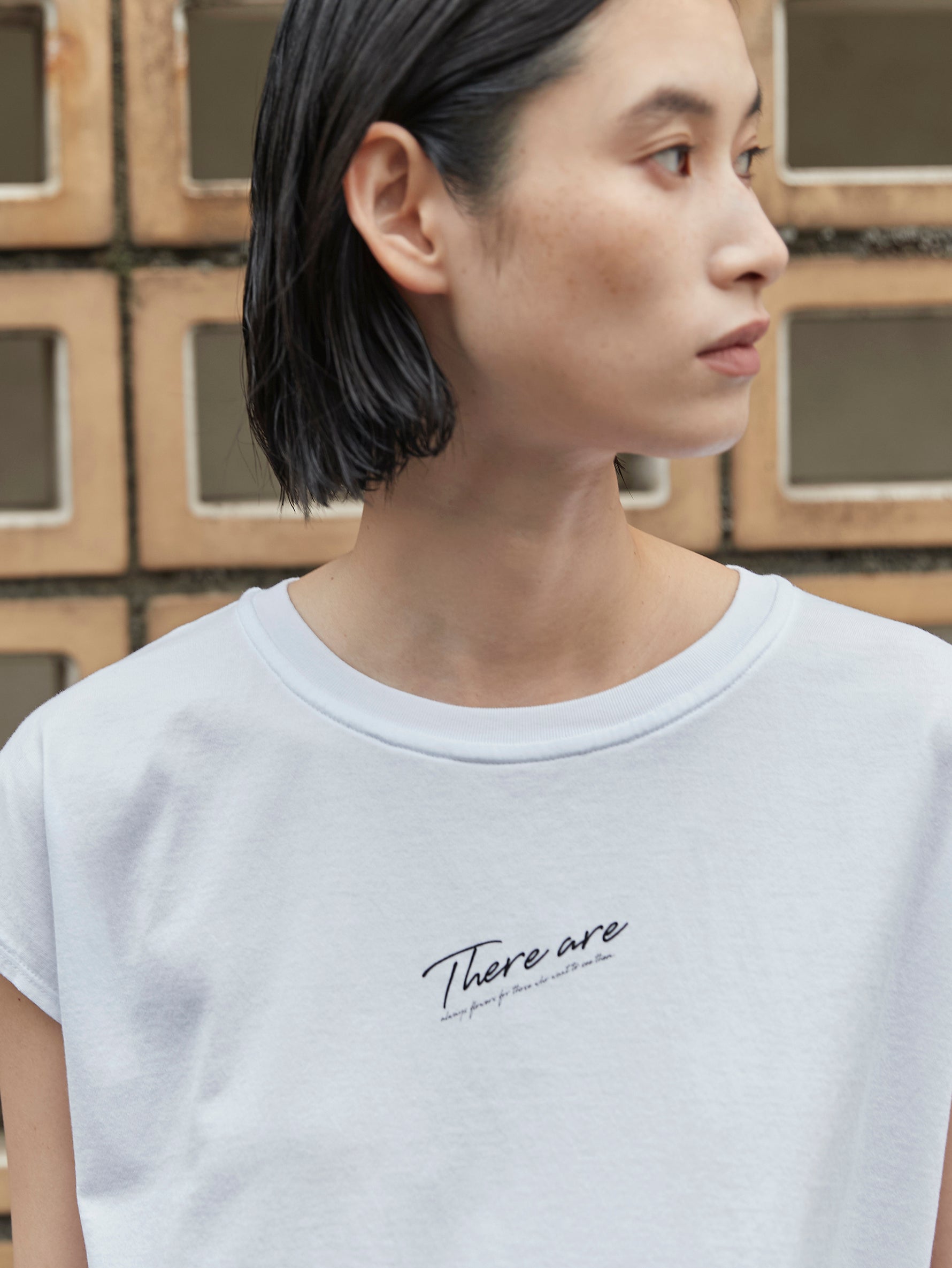 there are フレンチ T/TBDS-501