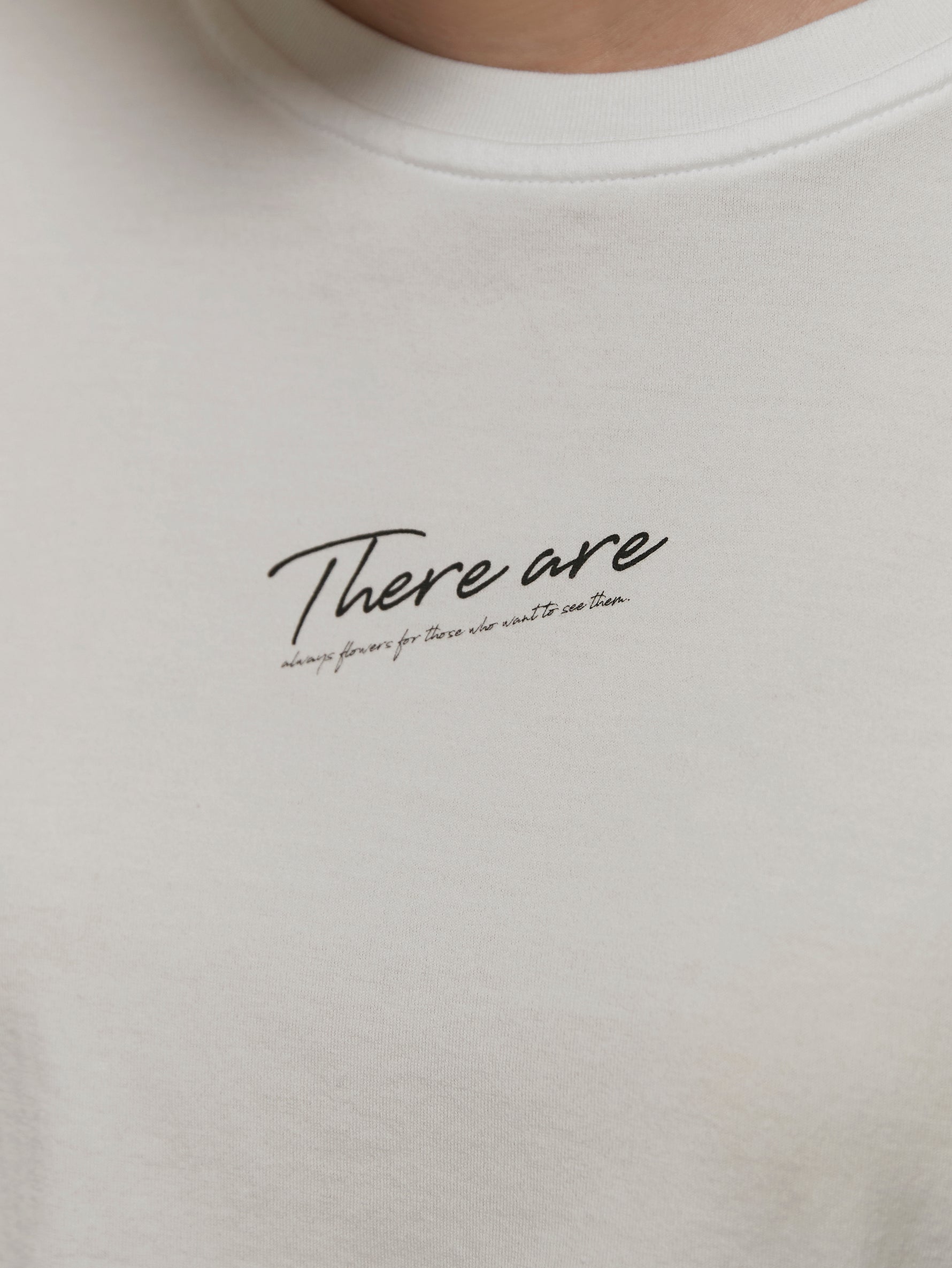 there are フレンチ T/TBDS-501