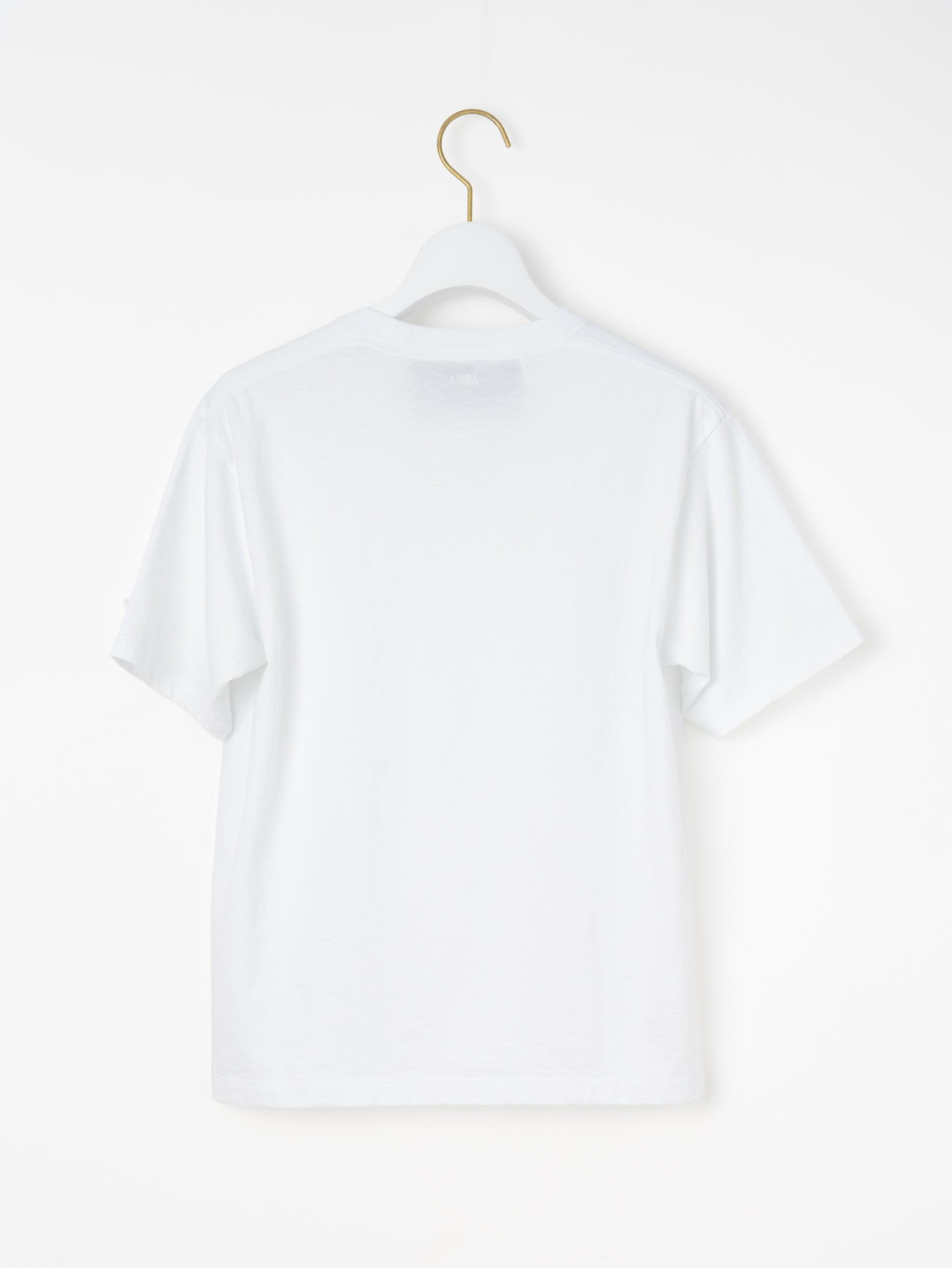 エンブロイダリーTシャツ TBFS-491