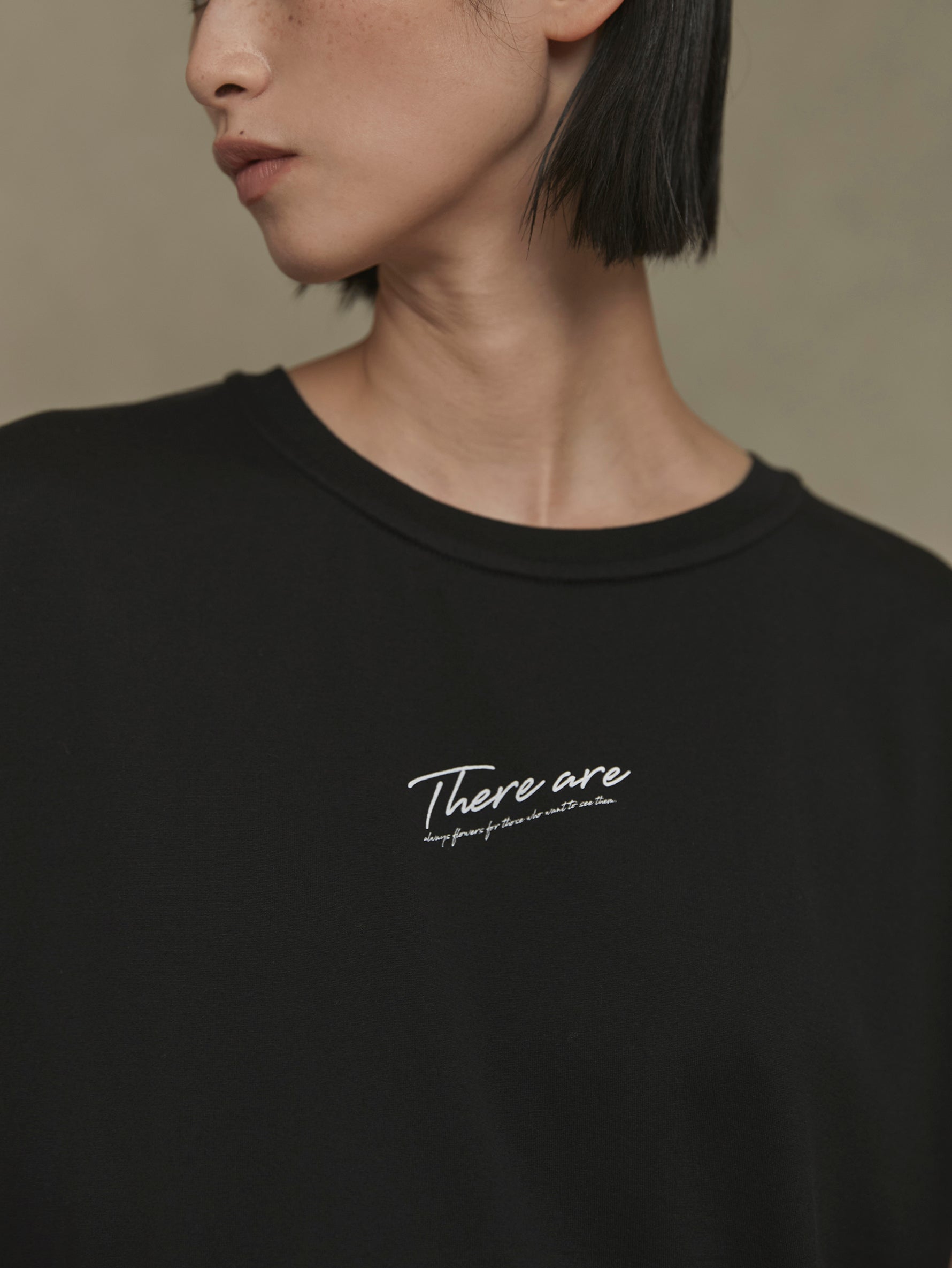 there are フレンチ T/TBDS-501