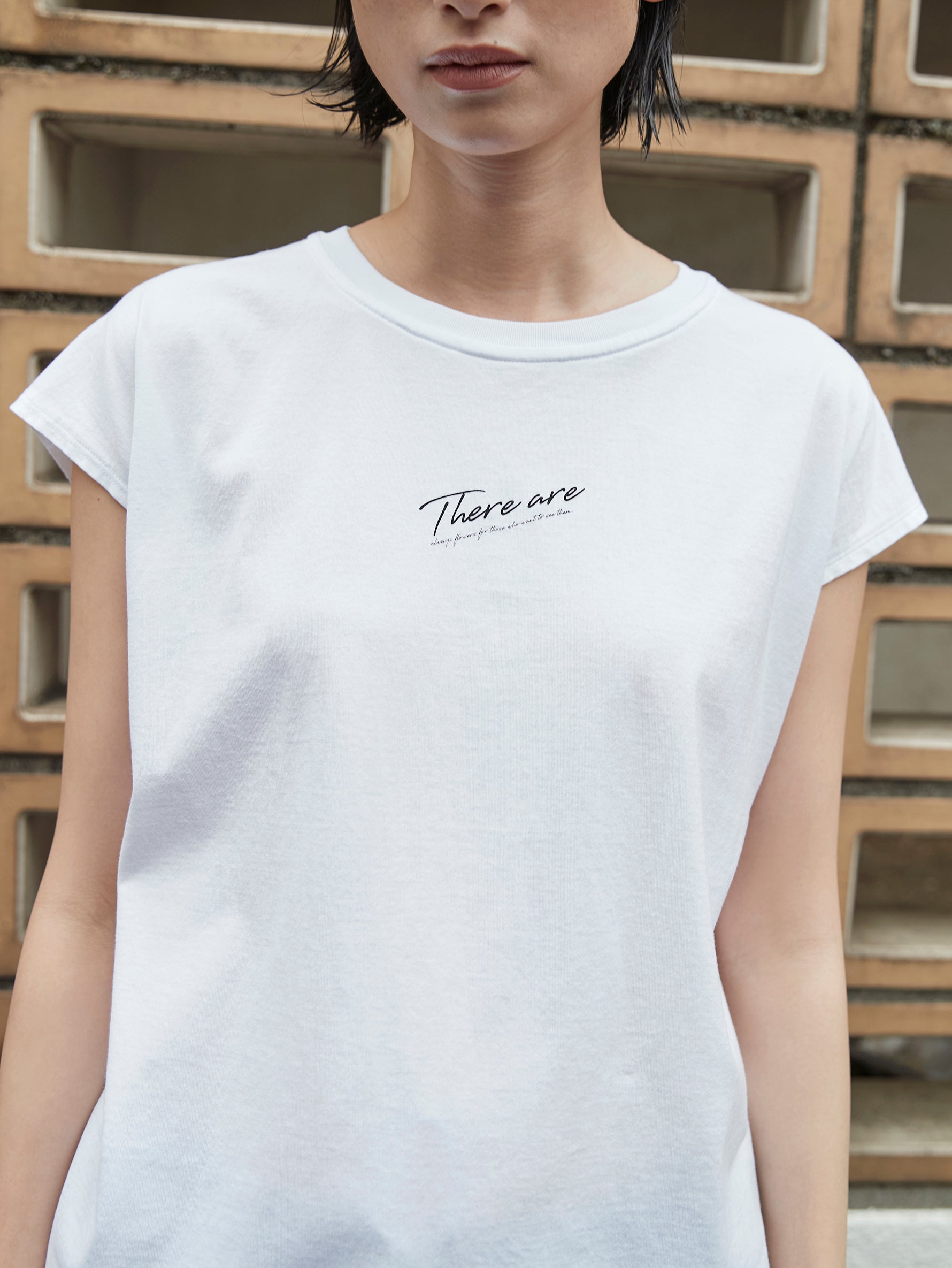 there are フレンチ T/TBDS-501