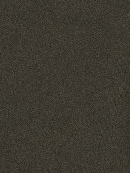 【予約商品】ダウニーウラケハーフzipプルオーバー TBFA-291